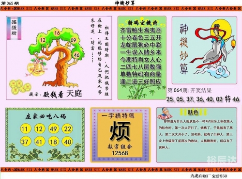 香港开奖直播开奖记录 小说香港开奖直播，神秘开奖记录小说