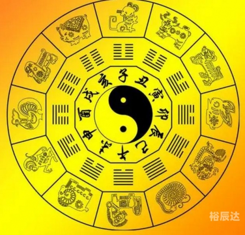 4949澳门免费资料大全特色12生肖排行榜澳门免费资料大全，探秘特色与亮点-第2张图片