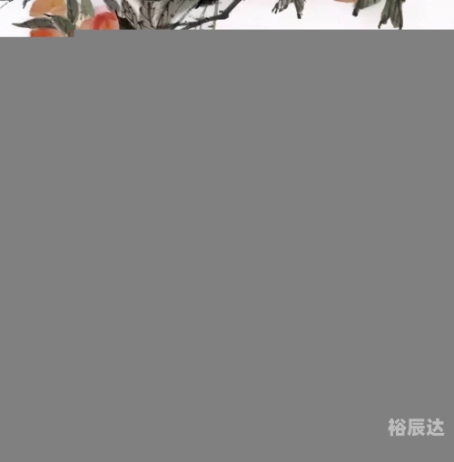 一肖彩经一肖彩经，神秘与智慧的交织-第1张图片