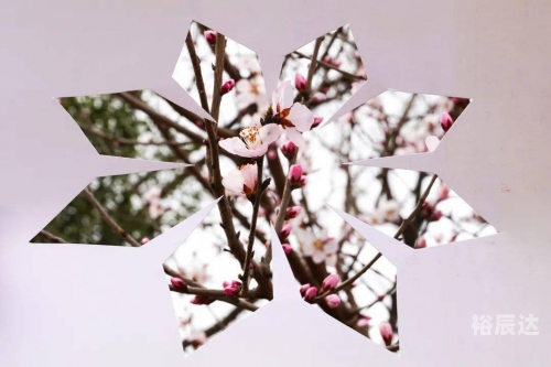 玻璃花玻璃花-第3张图片