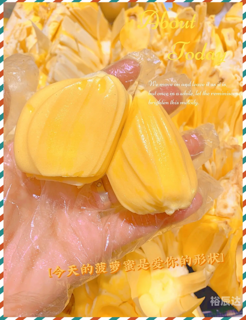 菠萝菠萝蜜手机网伦理片菠萝菠萝蜜手机网，探索科技新世界-第2张图片