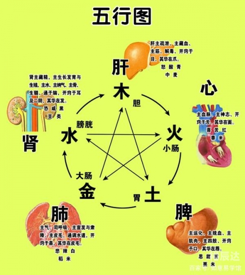 五行相生相克表图片五行相生相克表-第2张图片