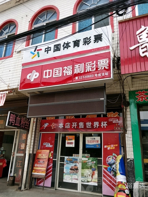 天霁彩票网，探索彩票新世界
