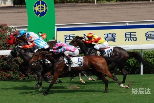 香港赛马会资料信息唯一官方网站香港马会资料概述