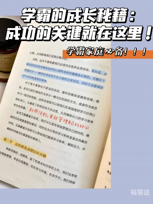 大本赢，策略与成功的关键