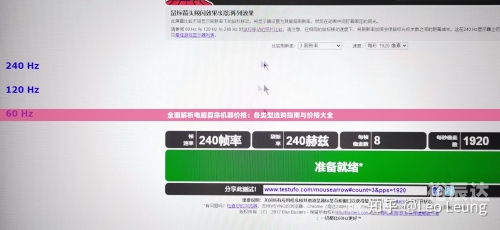 管家婆三肖一码一定中特管家婆三肖一码一定中特，精准预测与决策支持