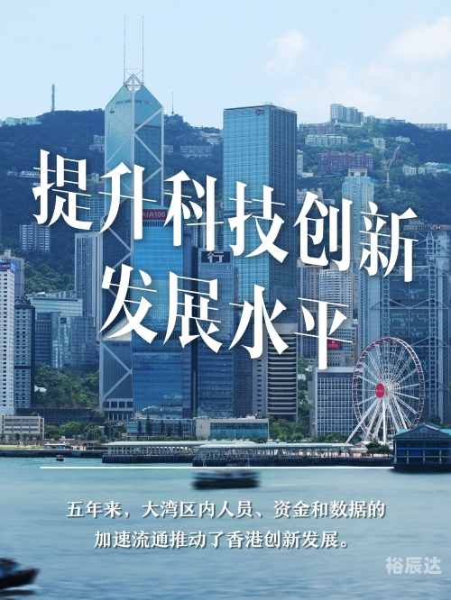 2023澳门精准正版澳门码，探索澳门码的魅力与机遇-第2张图片