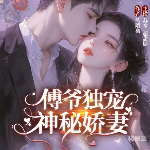 替嫁娇妻，傅总的神秘故事-第2张图片