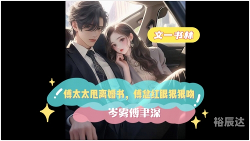 替嫁娇妻，傅总的神秘故事