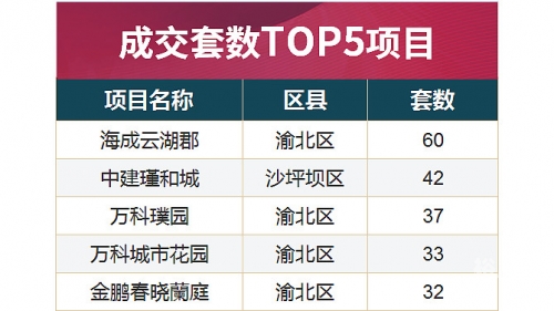 2024香港港六开奖记录2024香港港六开奖记录概览