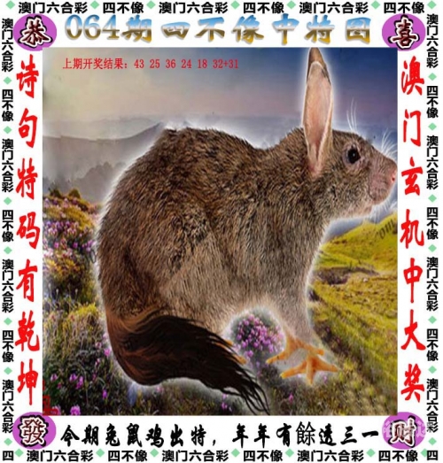 澳彩网，投注新时代的探索与体验