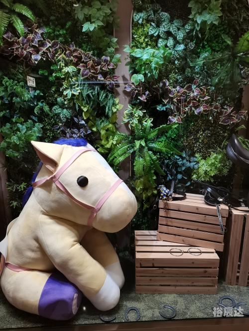 香港马会资料大全-第2张图片