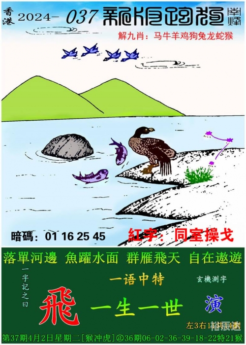 澳门一肖一码一必开一肖一今日头条新闻网澳门一肖一码一必开一肖，揭秘彩票游戏