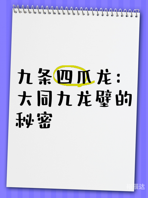 九龙内幕，揭开神秘面纱-第3张图片
