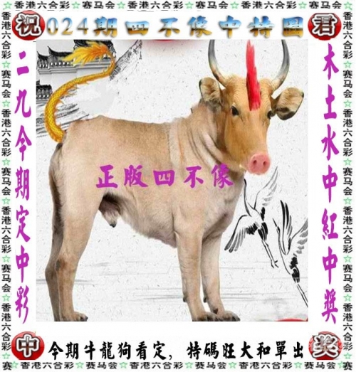 管家婆2024精准资料大全