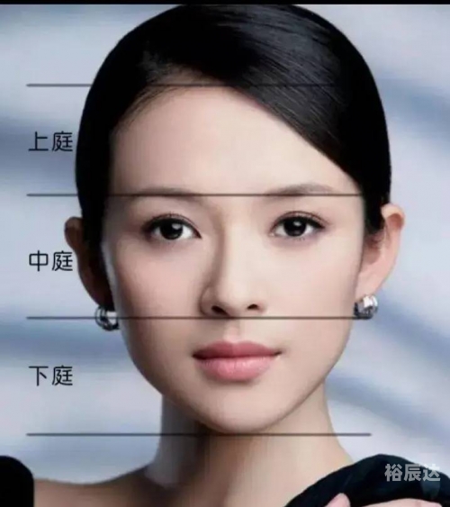 大下巴的女人面相大下巴之美