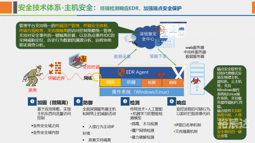 4381.com，数字时代的网络新天地-第2张图片