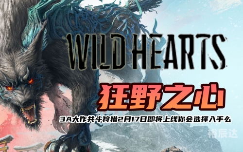 狂野之刃，激荡之剑