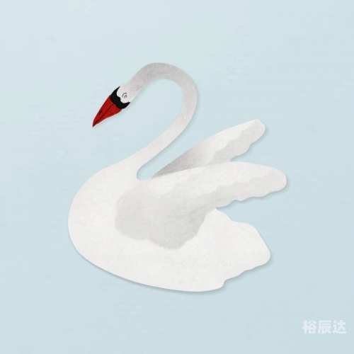 3D白天鹅图库3D白天鹅图库，探索美丽与艺术的视觉盛宴-第2张图片
