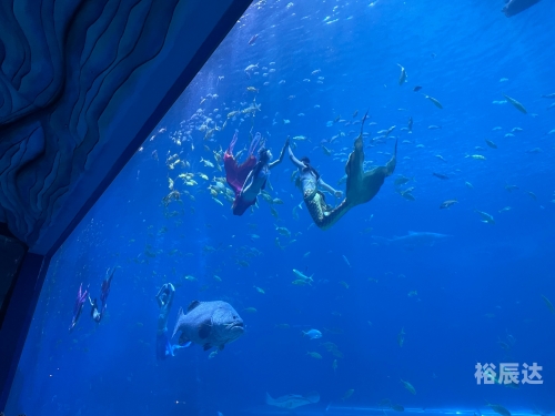 船票查询，便捷服务的海洋之旅-第2张图片