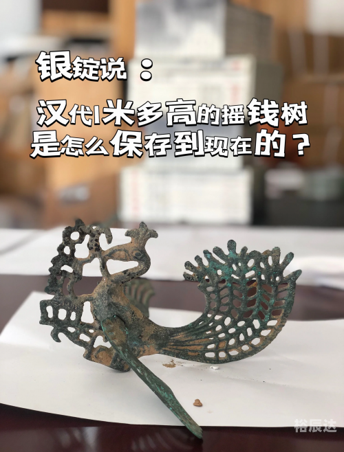 摇钱树免费论坛心水摇钱树心水忪坛，探寻神秘宝藏-第3张图片