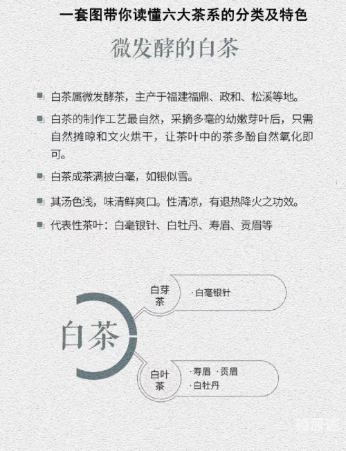 茶叶市场行情茶叶市场行情分析-第2张图片