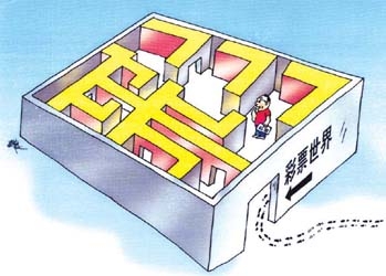 天霁彩票论坛，探索彩票之路-第2张图片