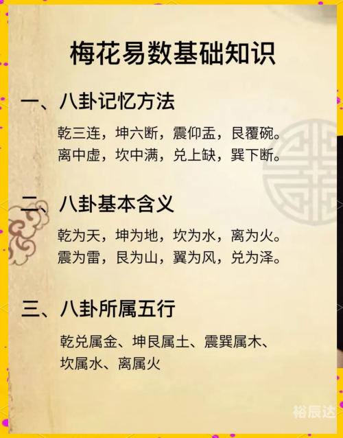 最准一肖一码100%准最准一肖一码，100%准确率的神奇预测