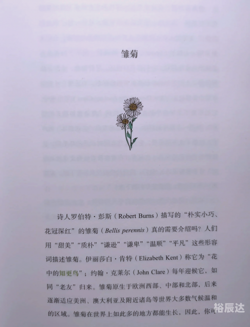 爱原理彩爱原理彩，情感的交织与色彩的魅力-第2张图片