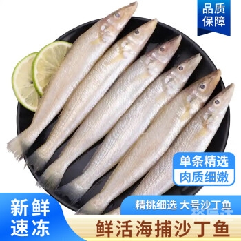 沙丁鱼尽量少吃最好不吃沙丁鱼之海，海洋中的生命奇迹