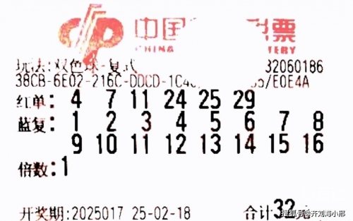 双色球2017061双色球2017061，彩票新篇章
