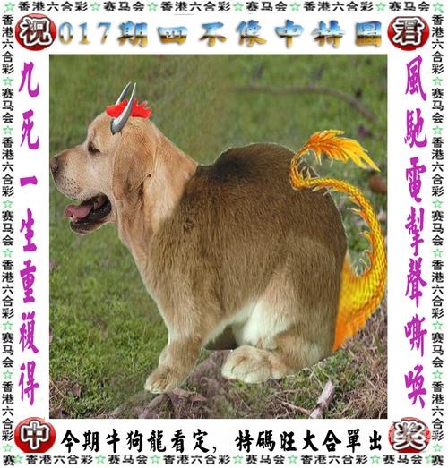 管家婆免费2023资料大全管家婆免费2023资料大全-第2张图片