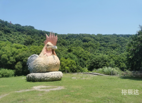 放鸡岛旅游放鸡岛旅游攻略-第1张图片