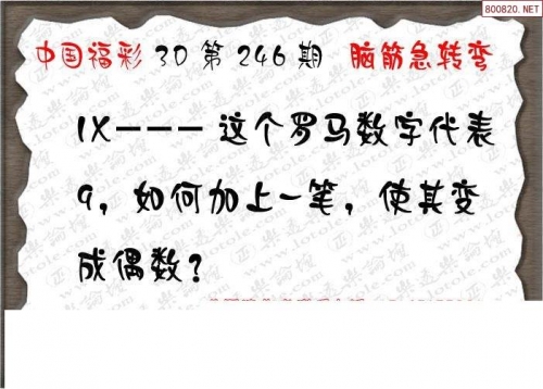 二四六精选资料大全