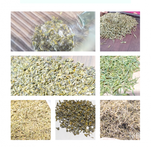 开化龙顶开化龙顶，品味独特的茶文化