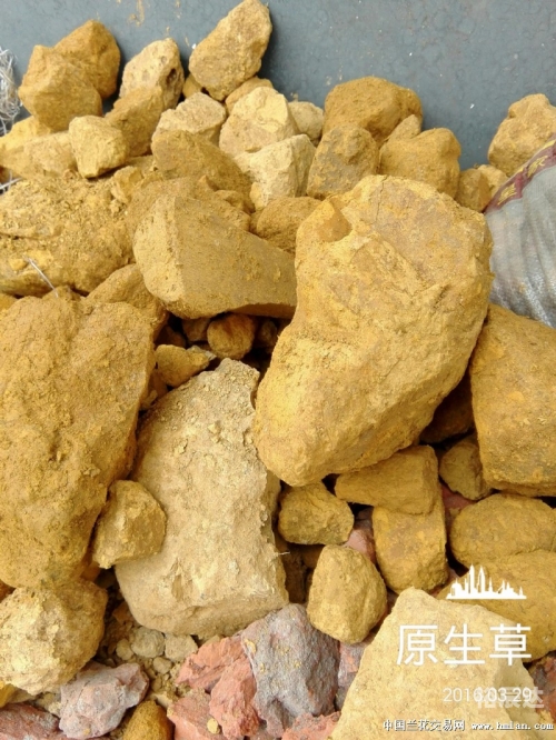 东东网络集团有限责任公司东东网，网络生活的新窗口-第3张图片