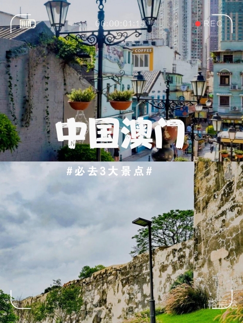 2023年澳门正版资料免费公开，探索数字化时代的资源宝库