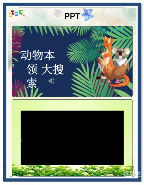 白猫图画白猫图纸，探索设计与创新的奥秘-第2张图片