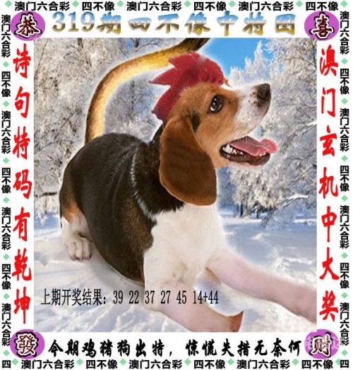 6合彩图库，彩图库的魅力与使用方法