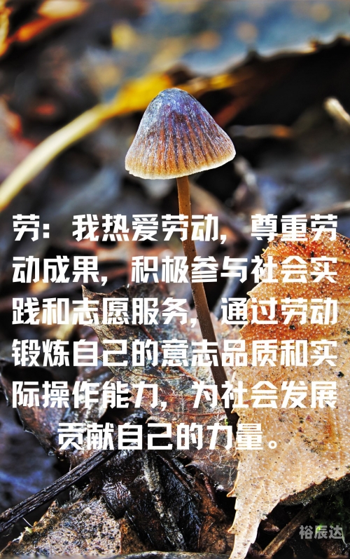 3158.com，消费者权益保护与网络诚信的探索