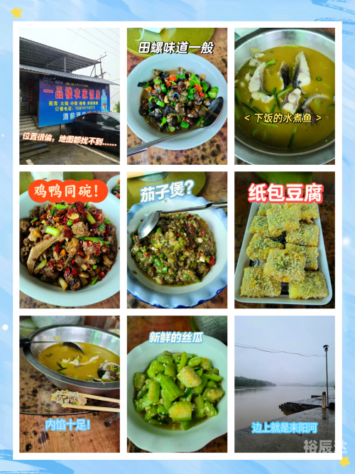 一品堂经典论坛在哪里一品堂经典论坛，探索网络交流的新天地-第3张图片