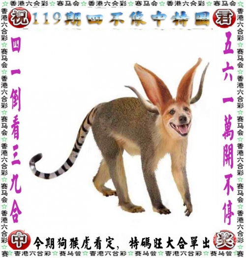 天天好彩二四六944天空彩天天好彩二四六944，天空彩的奇妙之旅-第3张图片