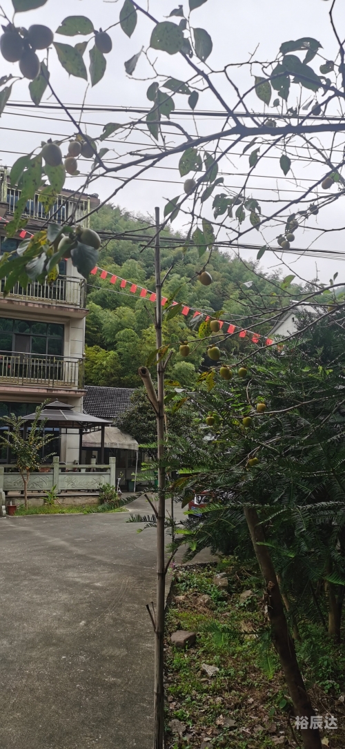 港龙假期港龙假期，畅享海滨度假之旅-第2张图片