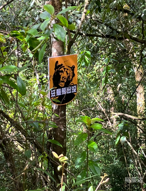 高黎贡山普洱茶高黎贡山普洱茶，品味自然之韵-第2张图片
