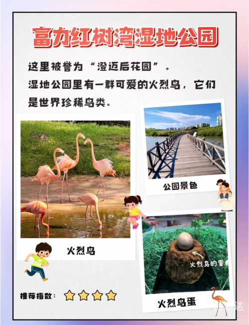 澄迈红树湾湿地公园澄迈红树湾，自然与人文的完美融合-第2张图片