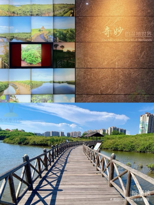 澄迈红树湾湿地公园澄迈红树湾，自然与人文的完美融合