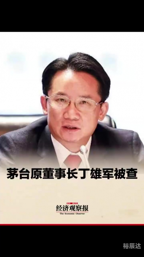 丁雄军，科技创新引领未来-第2张图片