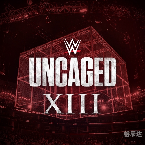 澳彩资料免费资料大全，WWE世界摔角娱乐深度解读