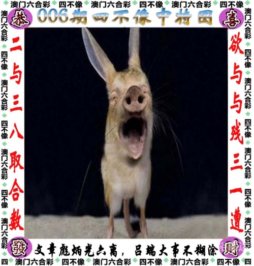 白小姐一码必中一码
