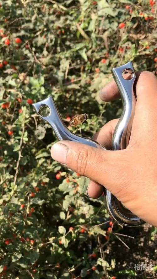 弹弓猎兔弹弓射恶兔，危险的猎物-第1张图片